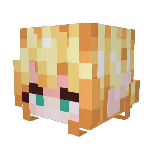 Nyemse Minecraft avatar head, 3D render