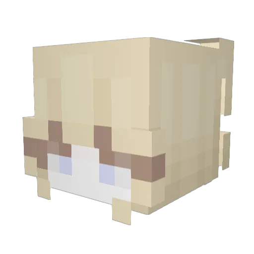 NyffPlayz Minecraft avatar head, 3D render