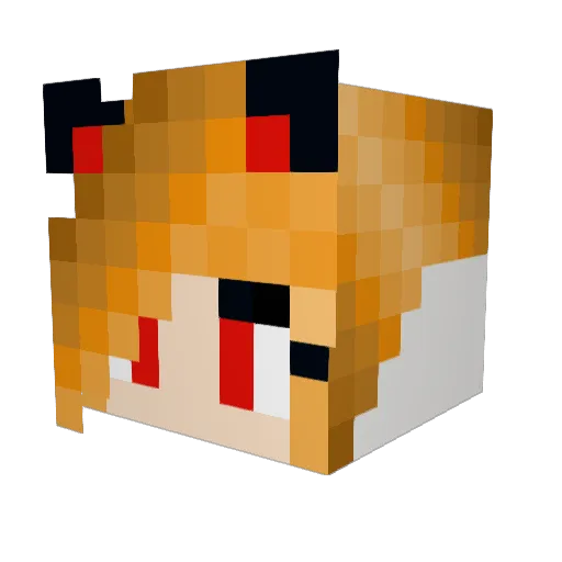 NyghtFoxx Minecraft avatar head, 3D render
