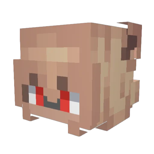 Nyghtwing Minecraft avatar head, 3D render