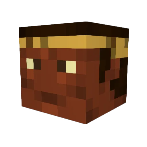 Nygi Minecraft avatar head, 3D render