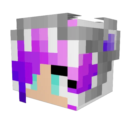 Nygif Minecraft avatar head, 3D render