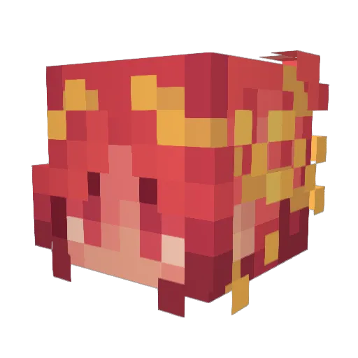 Nygma3202 Minecraft avatar head, 3D render
