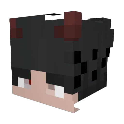Nyjxj_4 Minecraft avatar head, 3D render