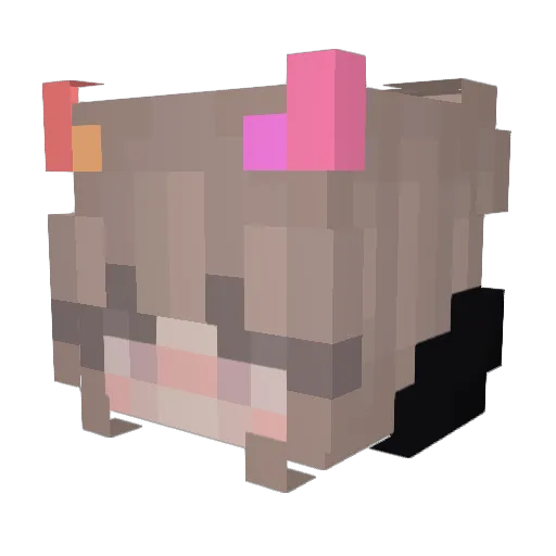 Nylaina Minecraft avatar head, 3D render