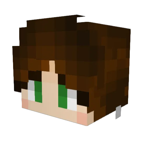Nylasor144 Minecraft avatar head, 3D render