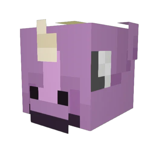 NylevePaw8 Minecraft avatar head, 3D render