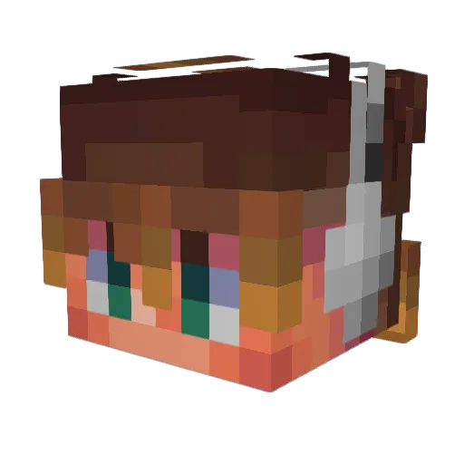 Nylinic Minecraft avatar head, 3D render