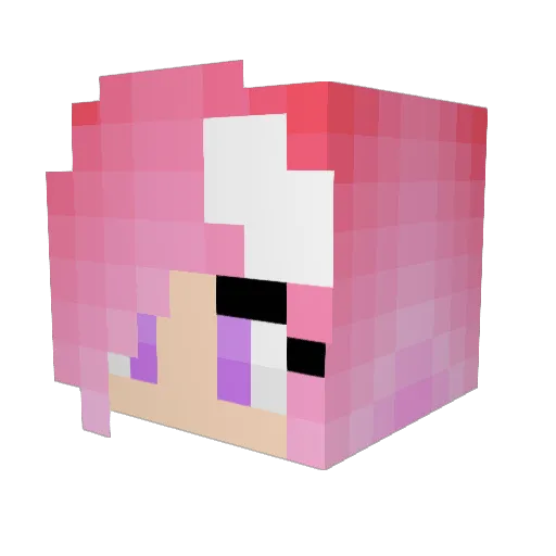 Nyllea Minecraft avatar head, 3D render