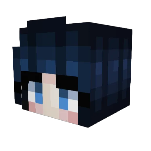 Nylon444 Minecraft avatar head, 3D render