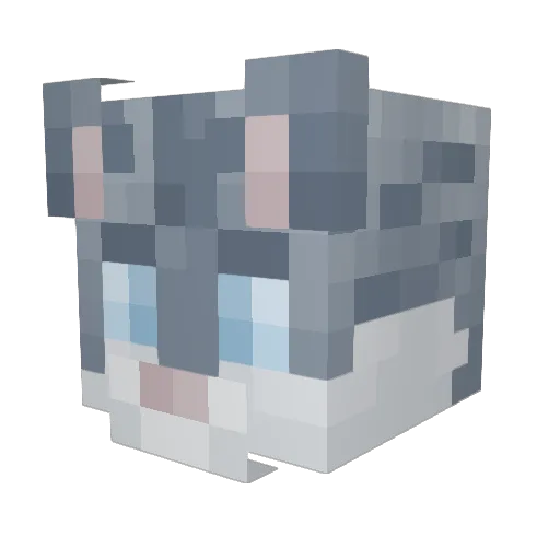 Nymahh Minecraft avatar head, 3D render