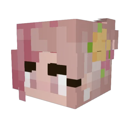 Nymph1120 Minecraft avatar head, 3D render