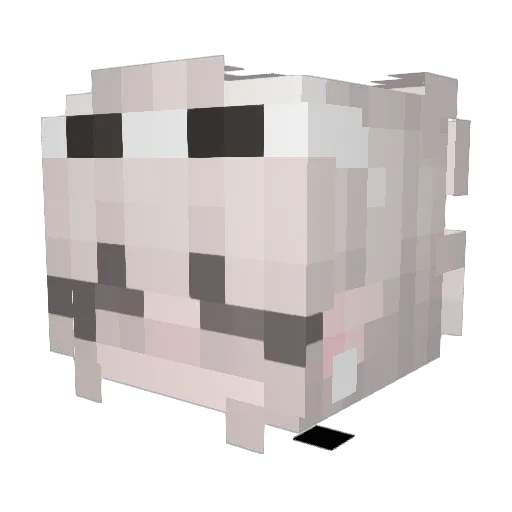 NymphSong Minecraft avatar head, 3D render
