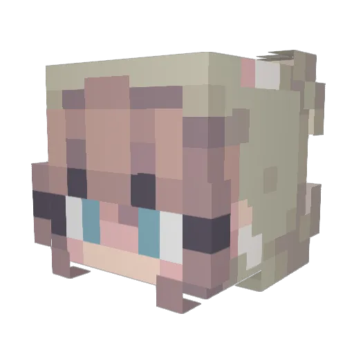 Nymphin_ Minecraft avatar head, 3D render