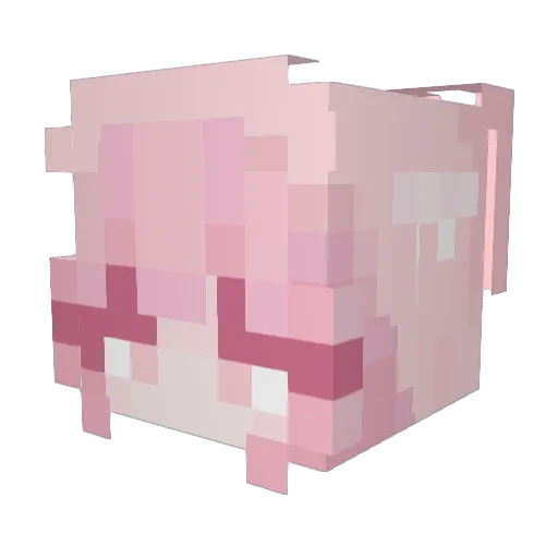 NynNynIvy Minecraft avatar head, 3D render