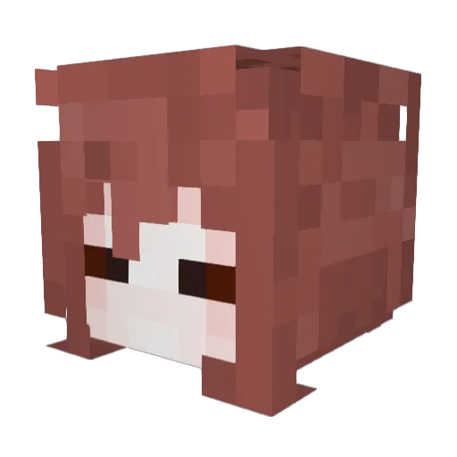 Nynwell Minecraft avatar head, 3D render