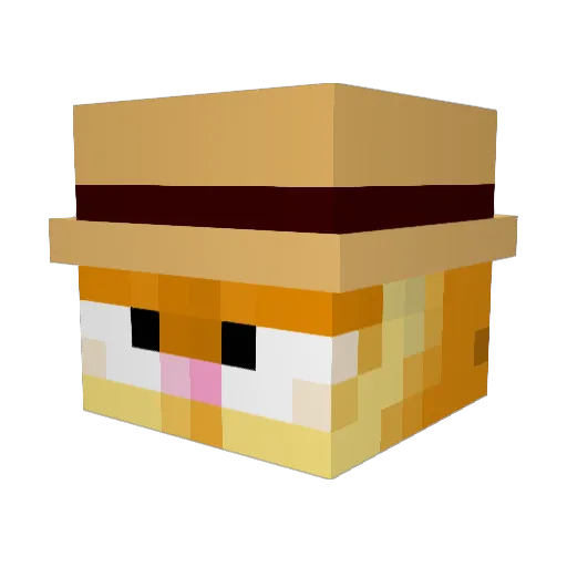 Nyobbptbr Minecraft avatar head, 3D render
