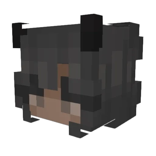 Nyoice_ Minecraft avatar head, 3D render