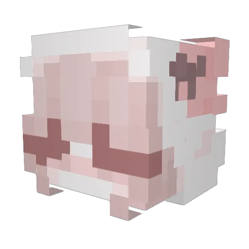 Nyokitt Minecraft avatar head, 3D render