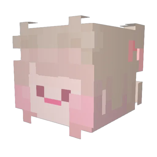 Nyong_owo Minecraft avatar head, 3D render