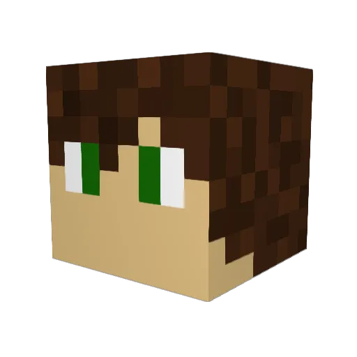 Nyoppi Minecraft avatar head, 3D render