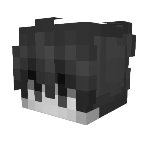 Nyou123 Minecraft avatar head, 3D render