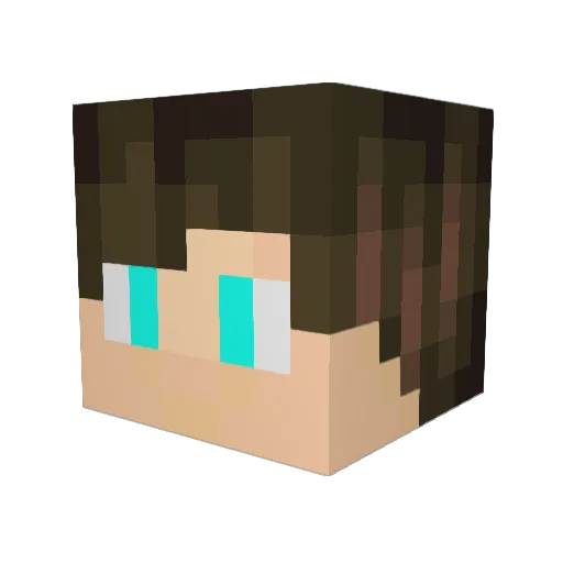 Nyr0x_MC Minecraft avatar head, 3D render