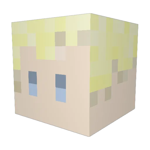 Nyr_minomusi Minecraft avatar head, 3D render