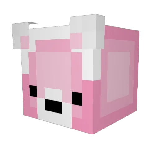 Nyrhu Minecraft avatar head, 3D render