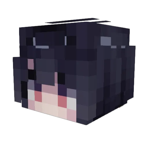 Nyrrine Minecraft avatar head, 3D render