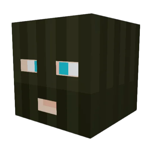 NysKiggers69 Minecraft avatar head, 3D render