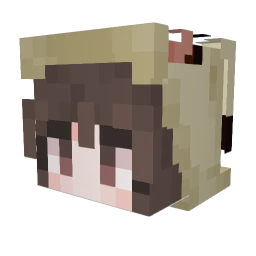 NyteShark Minecraft avatar head, 3D render