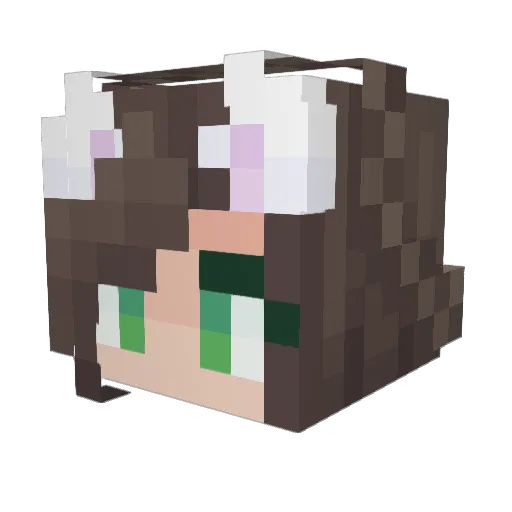 NytemareMeow Minecraft avatar head, 3D render