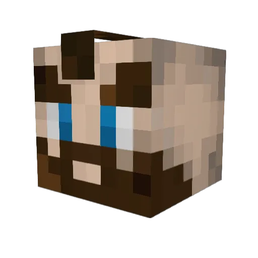 Nytfalz Minecraft avatar head, 3D render