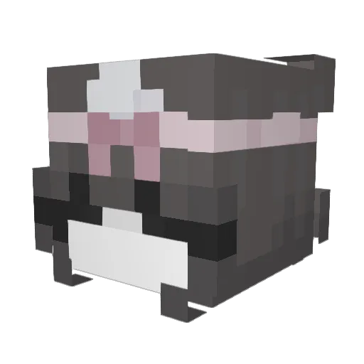 Nythraa Minecraft avatar head, 3D render
