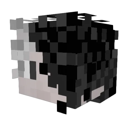 Nytiy Minecraft avatar head, 3D render