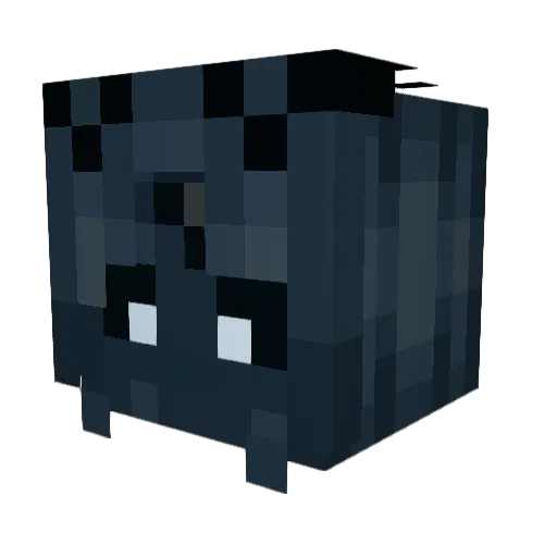 Nytte_Enhet Minecraft avatar head, 3D render