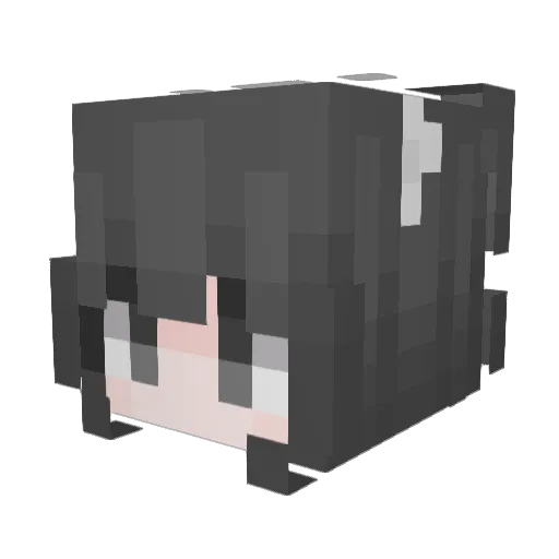 Nywrox Minecraft avatar head, 3D render