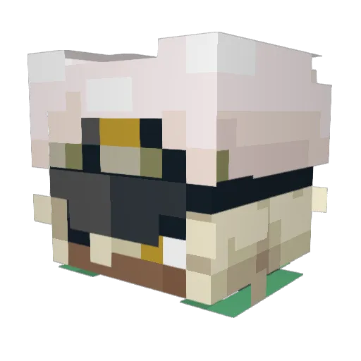 Nyx1on Minecraft avatar head, 3D render