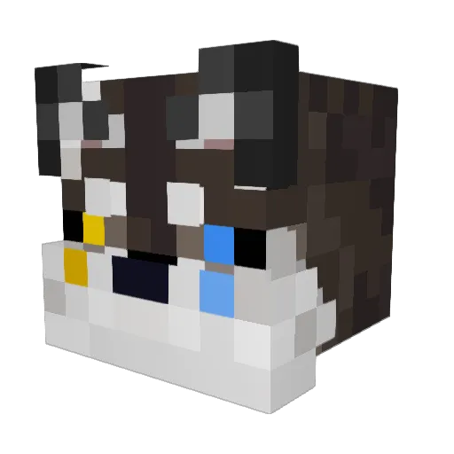 NyxArc Minecraft avatar head, 3D render