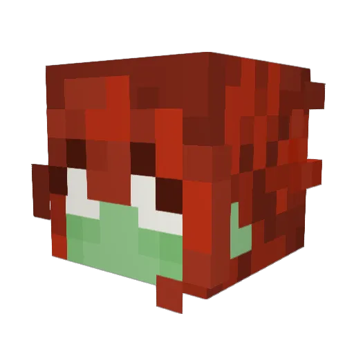 NyxDirt Minecraft avatar head, 3D render