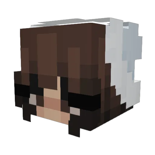 NyxDreamz Minecraft avatar head, 3D render