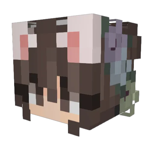 NyxFX06 Minecraft avatar head, 3D render
