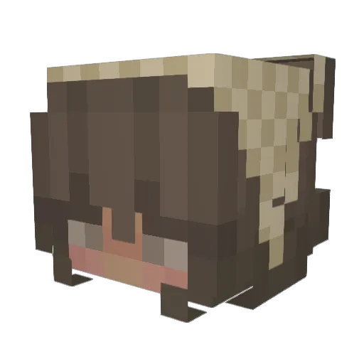 NyxNoona Minecraft avatar head, 3D render
