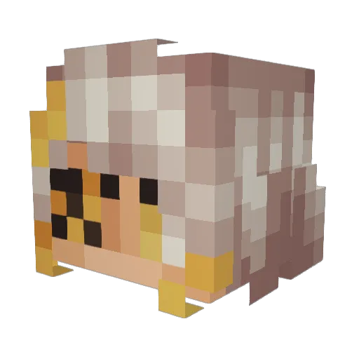 Nyx_Haze Minecraft avatar head, 3D render