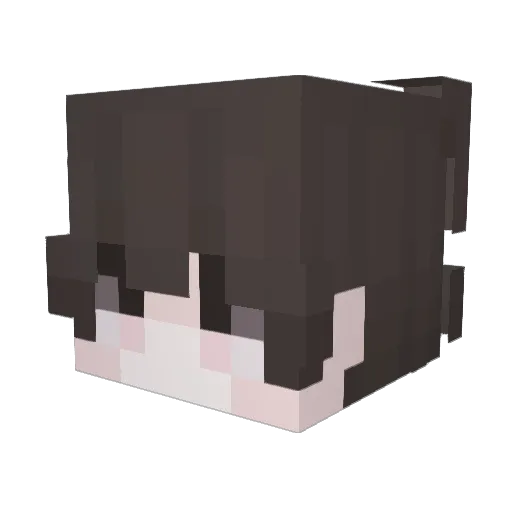 Nyxdrak Minecraft avatar head, 3D render
