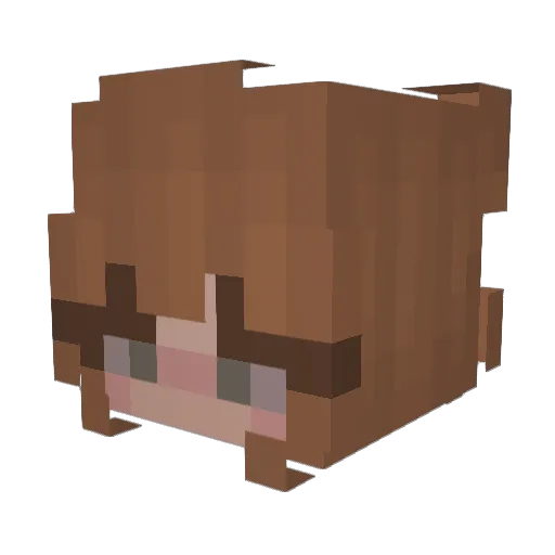 NyxieB4be Minecraft avatar head, 3D render