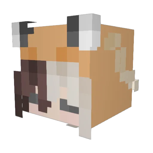 Nyxiess Minecraft avatar head, 3D render