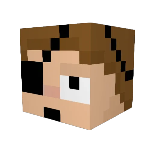 Nyxs Minecraft avatar head, 3D render