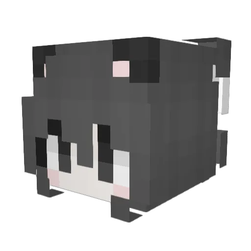 Nyxtari Minecraft avatar head, 3D render